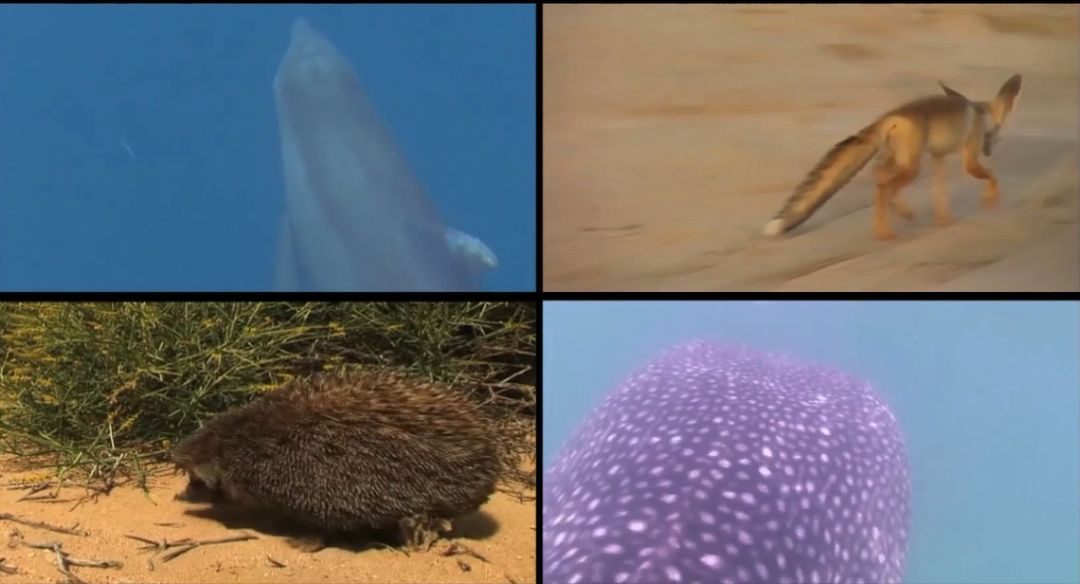 太阳GG·(中国区)官方网站