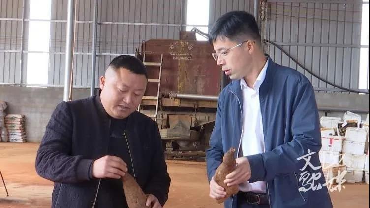 太阳GG·(中国区)官方网站