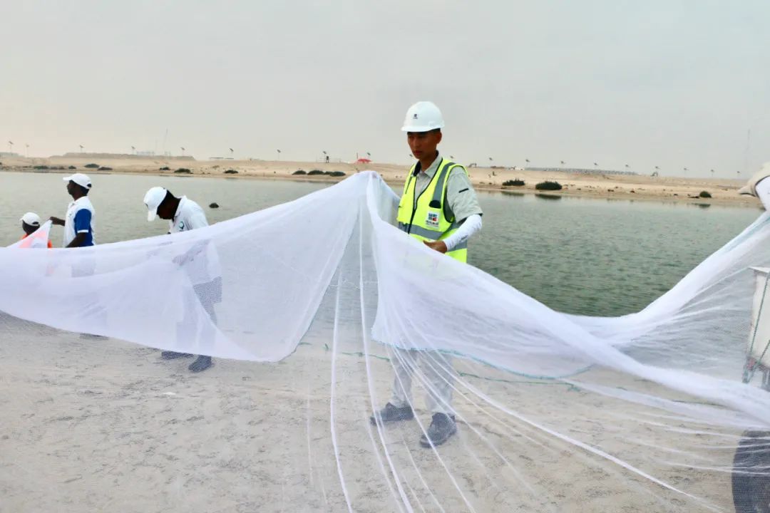 太阳GG·(中国区)官方网站