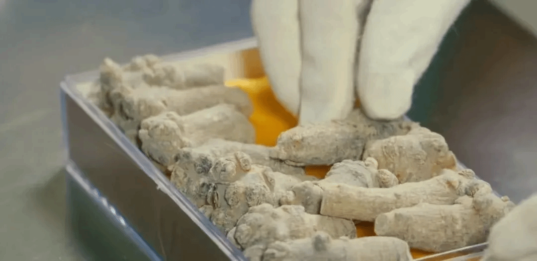 太阳GG·(中国区)官方网站