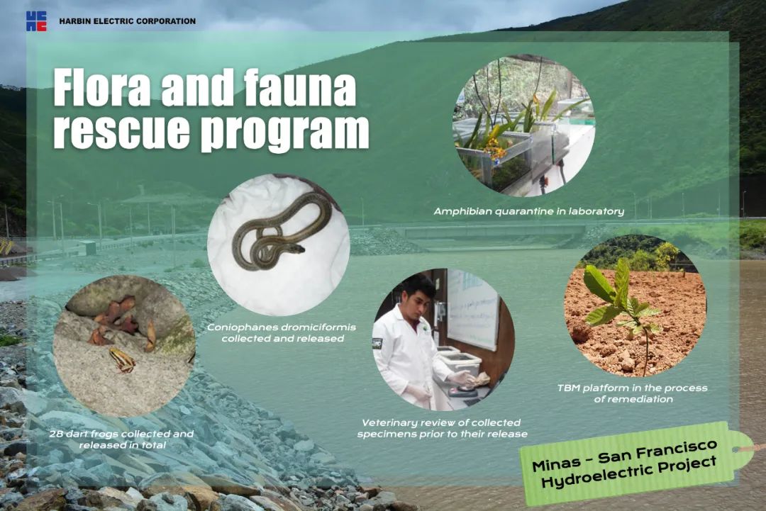 太阳GG·(中国区)官方网站