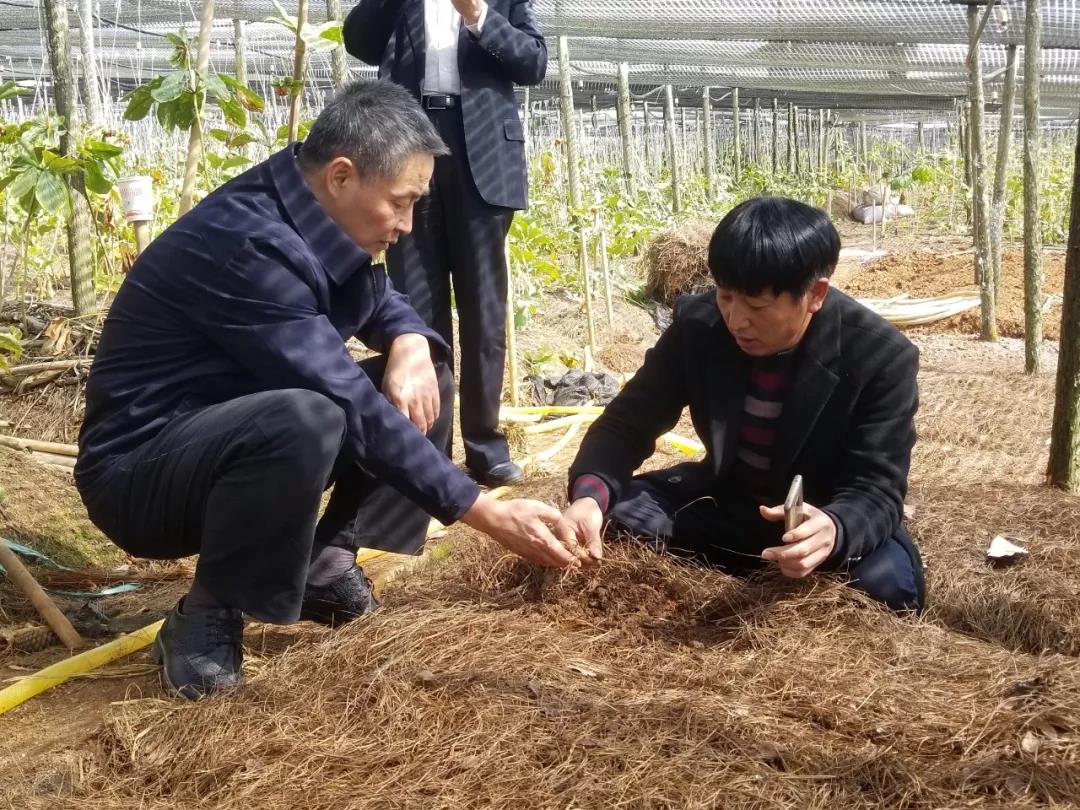 太阳GG·(中国区)官方网站