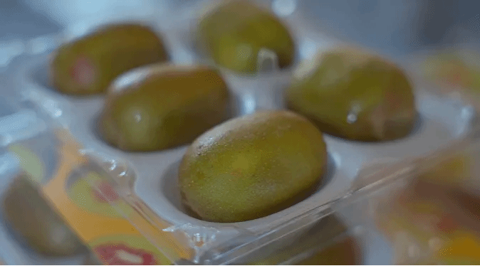 太阳GG·(中国区)官方网站