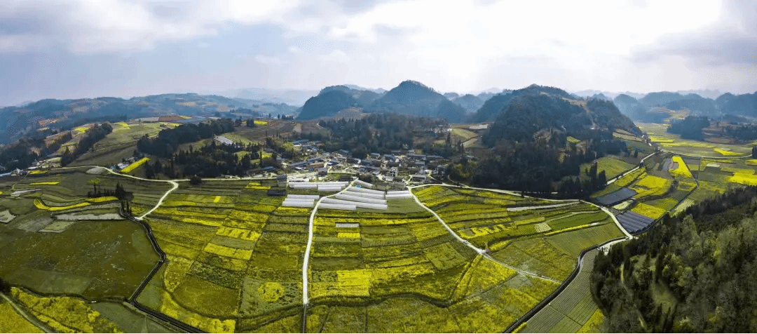 太阳GG·(中国区)官方网站