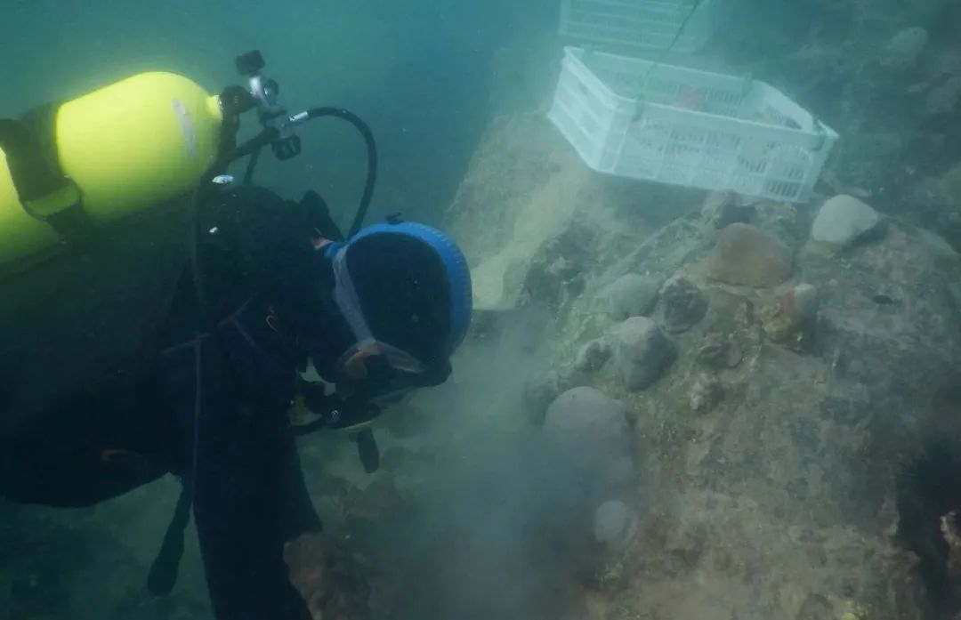 太阳GG·(中国区)官方网站