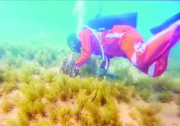 太阳GG·(中国区)官方网站