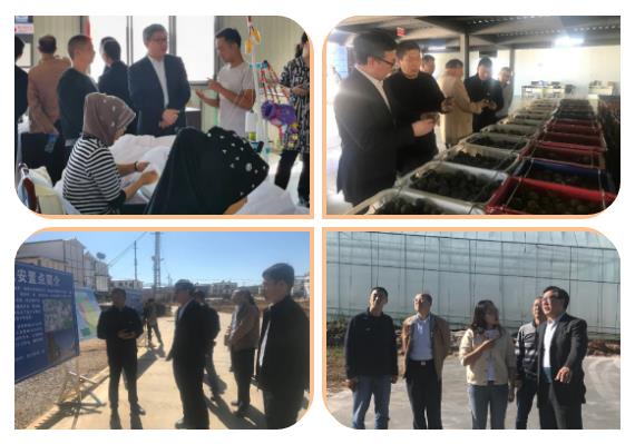 太阳GG·(中国区)官方网站