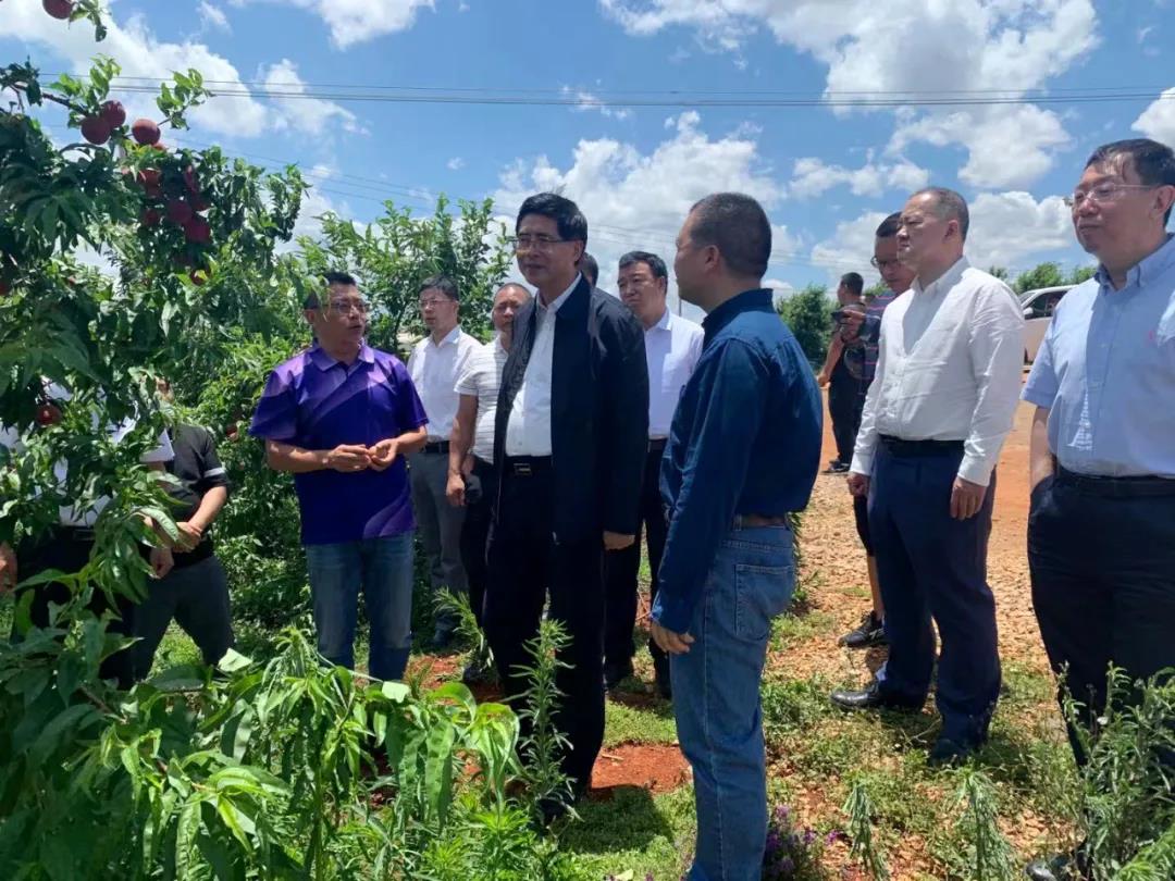 太阳GG·(中国区)官方网站