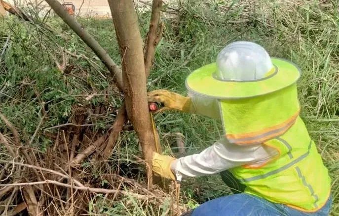 太阳GG·(中国区)官方网站