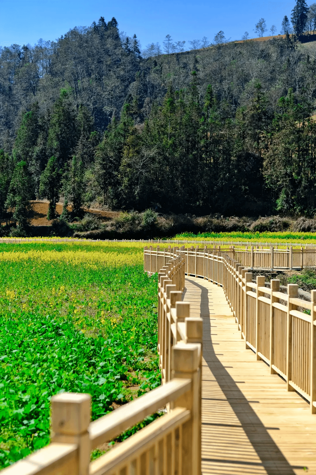 太阳GG·(中国区)官方网站