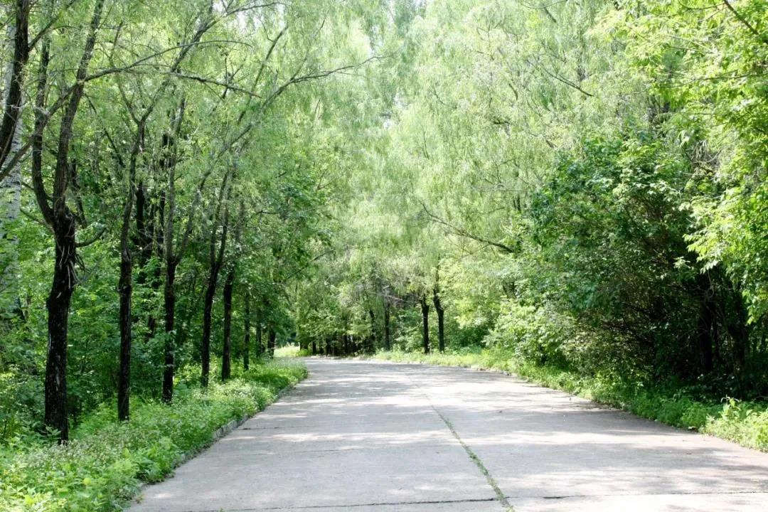 太阳GG·(中国区)官方网站