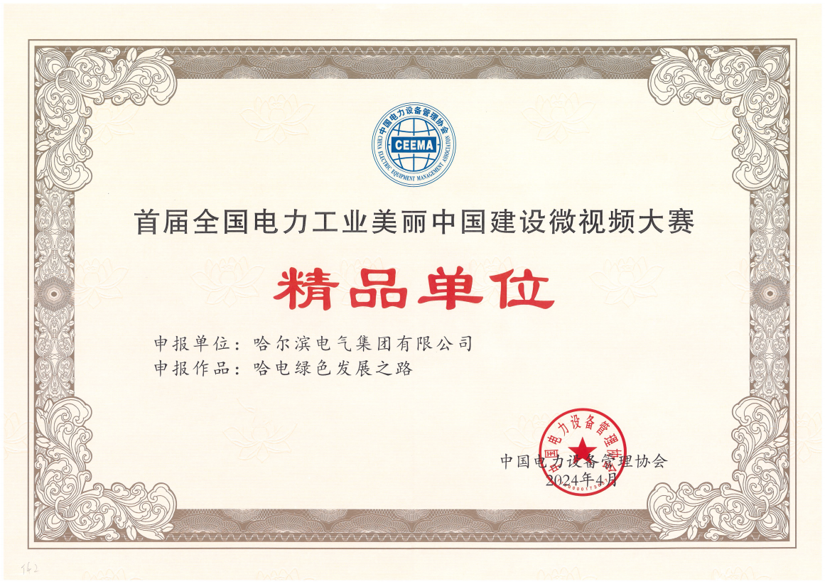 太阳GG国际获首届天下电力工业漂亮中国建设微视频大赛精品单位奖.png