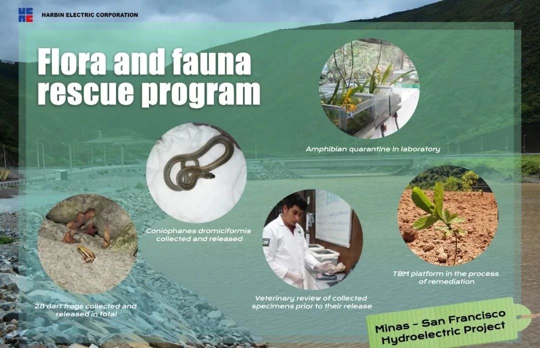 太阳GG·(中国区)官方网站