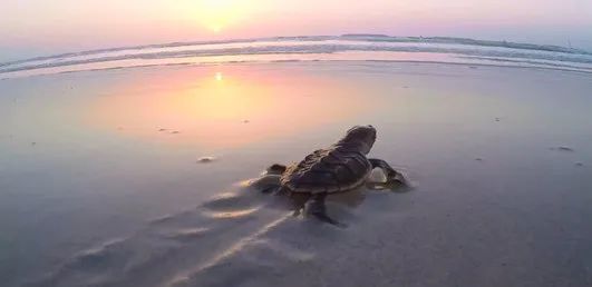 太阳GG·(中国区)官方网站