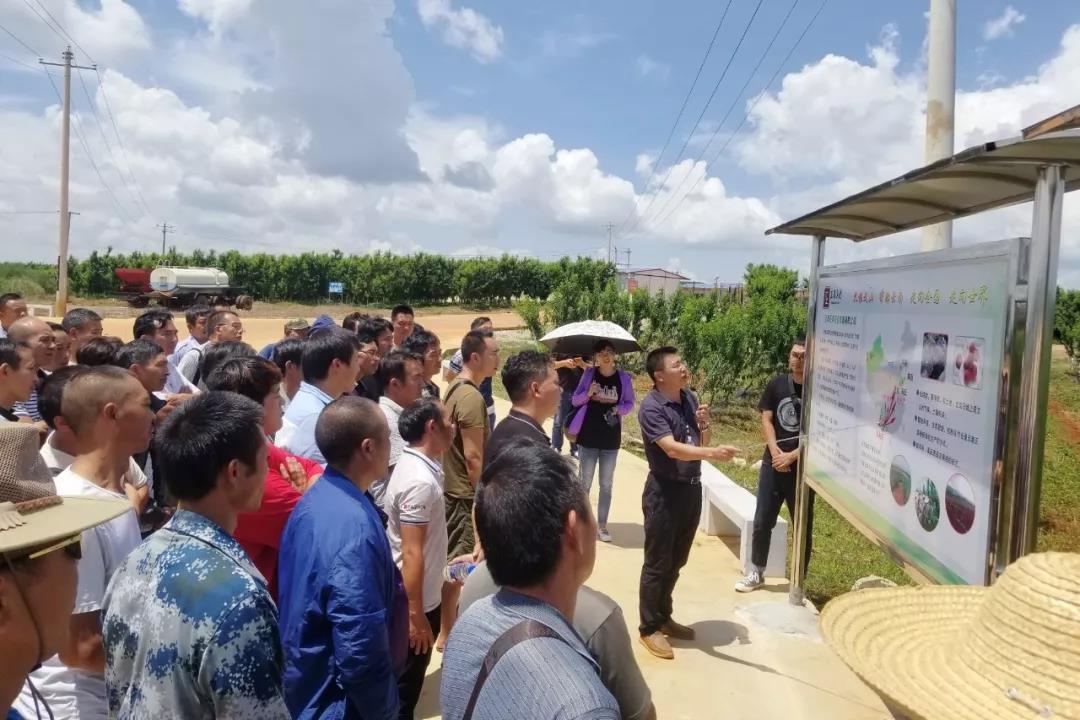 太阳GG·(中国区)官方网站