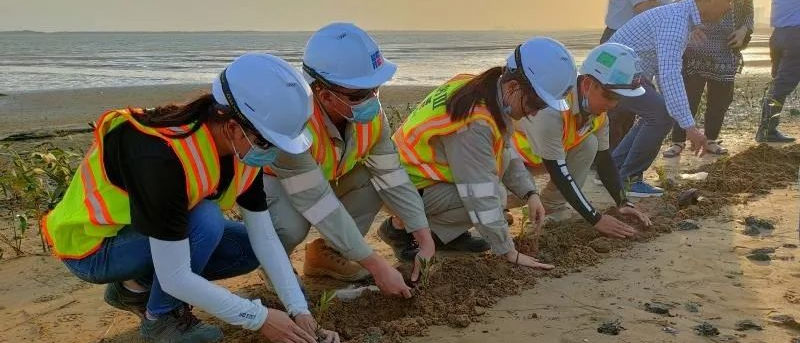 太阳GG·(中国区)官方网站