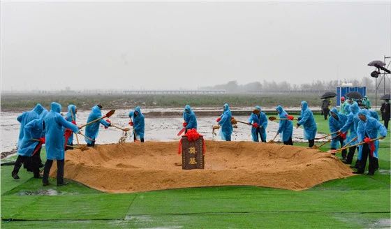 太阳GG·(中国区)官方网站