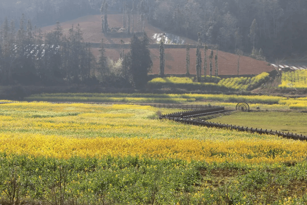 太阳GG·(中国区)官方网站